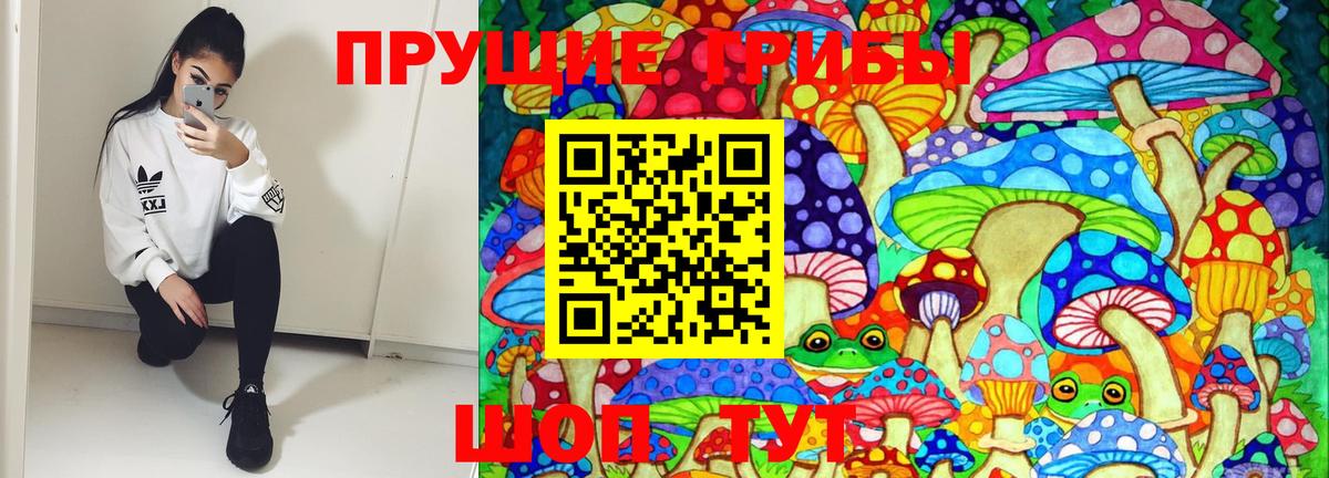 Губкин  Галлюциногенные грибы прущие грибы  Псилоцибиновые грибы ЛСД  Вход с VPN 