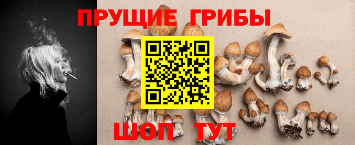 Галлюциногенные грибы MAGIC MUSHROOMS Губкин
